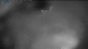 Skicentrum Říčky - Výstupní stanice Zakletý - 17.12.2025 v 03:30 Skicentrum Říčky - Výstupní stanice Zakletý - 17.12.2025 v 03:30