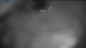 Skicentrum Říčky - Výstupní stanice Zakletý - 17.12.2025 v 03:45 Skicentrum Říčky - Výstupní stanice Zakletý - 17.12.2025 v 03:45