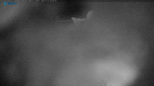 Skicentrum Říčky - Výstupní stanice Zakletý - 17.12.2025 v 04:00 Skicentrum Říčky - Výstupní stanice Zakletý - 17.12.2025 v 04:00