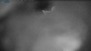 Skicentrum Říčky - Výstupní stanice Zakletý - 17.12.2025 v 04:15 Skicentrum Říčky - Výstupní stanice Zakletý - 17.12.2025 v 04:15