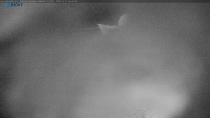 Skicentrum Říčky - Výstupní stanice Zakletý - 17.12.2025 v 04:30 Skicentrum Říčky - Výstupní stanice Zakletý - 17.12.2025 v 04:30