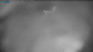 Skicentrum Říčky - Výstupní stanice Zakletý - 17.12.2025 v 05:00 Skicentrum Říčky - Výstupní stanice Zakletý - 17.12.2025 v 05:00