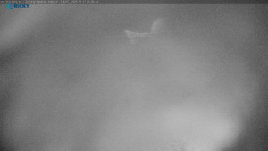 Skicentrum Říčky - Výstupní stanice Zakletý - 17.12.2025 v 06:00 Skicentrum Říčky - Výstupní stanice Zakletý - 17.12.2025 v 06:00