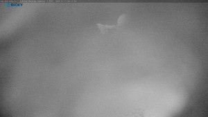 Skicentrum Říčky - Výstupní stanice Zakletý - 17.12.2025 v 06:15 Skicentrum Říčky - Výstupní stanice Zakletý - 17.12.2025 v 06:15