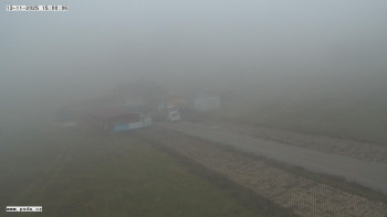 Snímek 13.11.2025 v 15:00