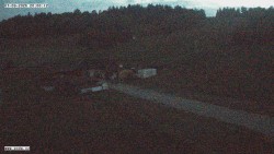 Widok ogólny