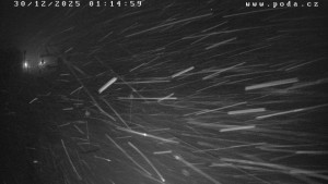 Ski Olešnice - Výstup vlek A - 30.12.2025 v 01:15 Ski Olešnice - Výstup vlek A - 30.12.2025 v 01:15