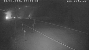 Ski Olešnice - Výstup vlek A - 8.1.2026 v 06:00 Ski Olešnice - Výstup vlek A - 8.1.2026 v 06:00