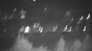 Snímek    29.10.2025 v 03:30