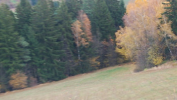 Snímek    3.11.2025 v 15:15