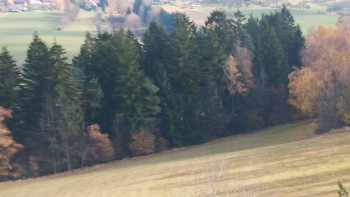 Snímek 7.11.2025 v 11:30