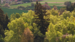 Pohled na město