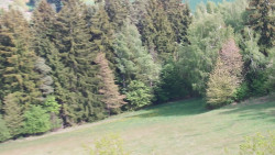 Pohled na město