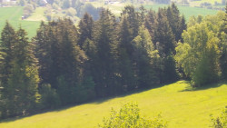 Pohled na město