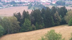 Town of Olešnice