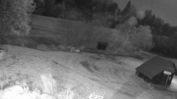 Snímek 6.11.2025 v 04:45