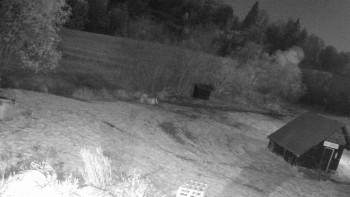 Snímek 6.11.2025 v 05:30