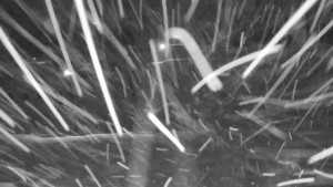 Annaberg - Sjezdovka - 2.1.2026 v 03:00 Annaberg - Sjezdovka - 2.1.2026 v 03:00