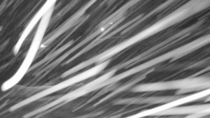 Annaberg - Sjezdovka - 2.1.2026 v 03:45 Annaberg - Sjezdovka - 2.1.2026 v 03:45