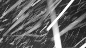 Annaberg - Sjezdovka - 2.1.2026 v 04:30 Annaberg - Sjezdovka - 2.1.2026 v 04:30