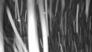 Annaberg - Sjezdovka - 2.1.2026 v 05:00 Annaberg - Sjezdovka - 2.1.2026 v 05:00