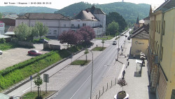 Riegerova ulice