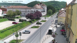 Riegerova ulice