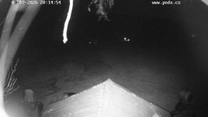 Skiareál Hodonín u Kunštátu - Sjezdovka, panorama východ - 7.3.2026 v 20:15 Skiareál Hodonín u Kunštátu - Sjezdovka, panorama východ - 7.3.2026 v 20:15