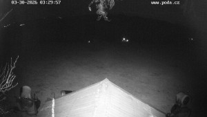 Skiareál Hodonín u Kunštátu - Sjezdovka, panorama východ - 30.3.2026 v 04:30 Skiareál Hodonín u Kunštátu - Sjezdovka, panorama východ - 30.3.2026 v 04:30