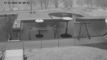 Snímek 17.11.2025 v 07:30