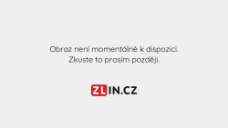 Koupaliště