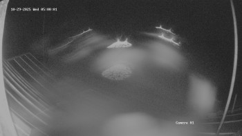 Snímek    29.10.2025 v 05:02