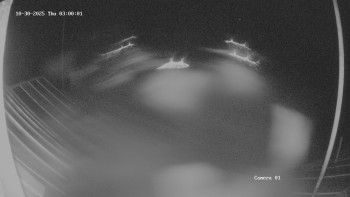 Snímek    30.10.2025 v 03:01