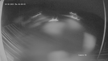 Snímek    30.10.2025 v 06:02