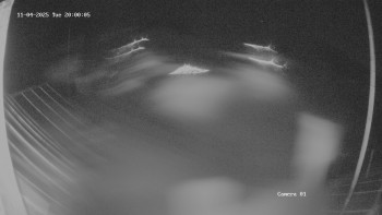 Snímek 4.11.2025 v 20:02