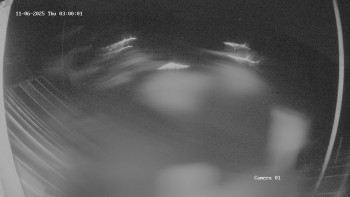 Snímek 6.11.2025 v 03:02