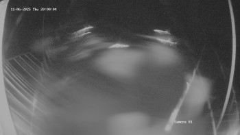 Snímek 6.11.2025 v 20:02