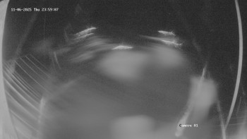 Snímek 7.11.2025 v 00:02