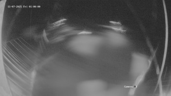 Snímek 7.11.2025 v 01:02