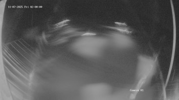 Snímek 7.11.2025 v 02:02