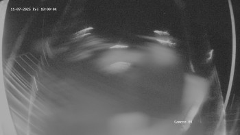 Snímek 7.11.2025 v 18:01