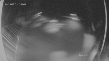 Snímek 7.11.2025 v 19:02