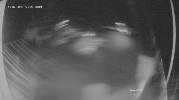 Snímek 7.11.2025 v 20:01