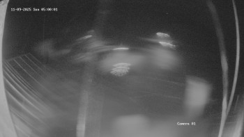 Snímek 9.11.2025 v 05:01