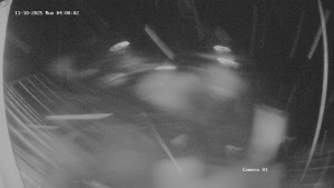 Zvičina - Hotel pod Zvičinou - 10.11.2025 v 04:01 Zvičina - Hotel pod Zvičinou - 10.11.2025 v 04:01