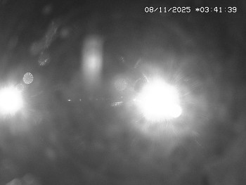 Snímek 8.11.2025 v 02:45