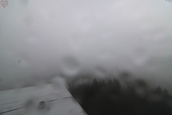 Snímek    29.10.2025 v 02:15