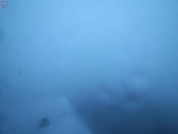 Snímek 17.11.2025 v 06:45