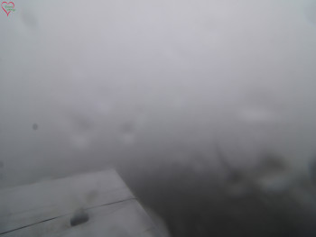 Snímek 17.11.2025 v 08:45