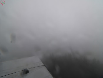 Snímek 17.11.2025 v 10:15